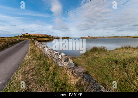 Cemlyn Naturschutzgebiet Bay Anglesey North Wales nisten Lagune Brackwasser Vogel Stockfoto