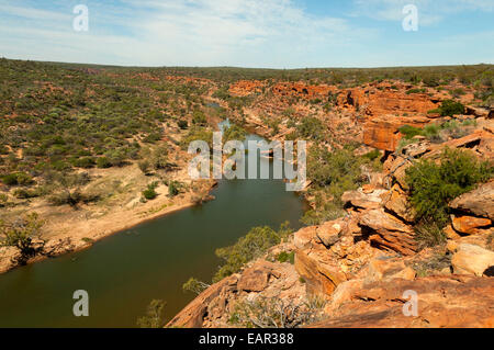 Murchison River von Falken Kopf in Kalbarri NP, WA, Australien Stockfoto