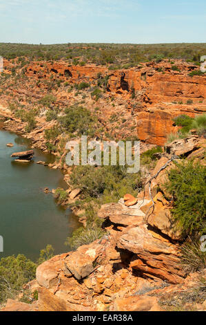 Murchison River von Falken Kopf in Kalbarri NP, WA, Australien Stockfoto