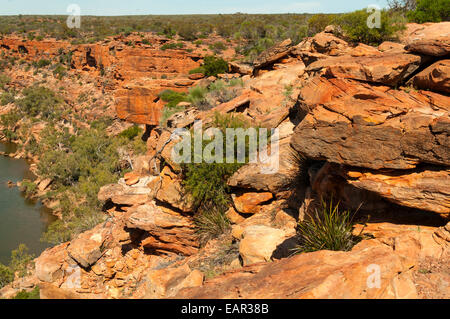 Murchison River von Falken Kopf in Kalbarri NP, WA, Australien Stockfoto