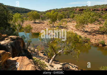 Murchison River unterhalb Ross Graham Lookout in Kalbarri NP, WA, Australien Stockfoto