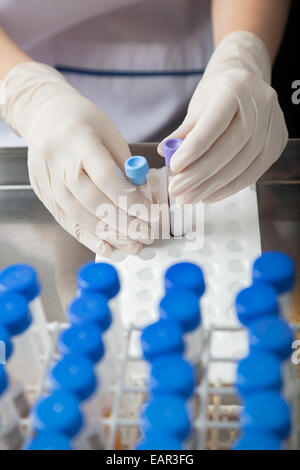 Techniker Reagenzglas Proben im Tray platzieren Stockfoto