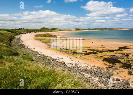 Dunstanburgh Strand in Northumberland, UK, mit Blick auf niedrige Newton Stockfoto