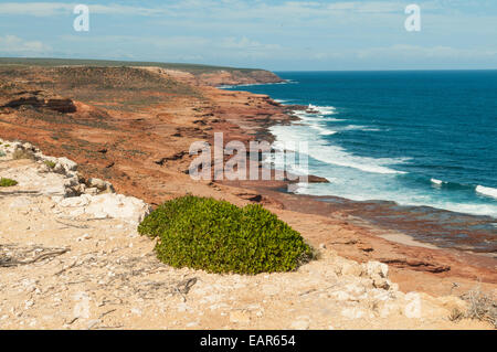 Ansicht Süd von Red Bluff, Kalbarri NP, WA, Australien Stockfoto