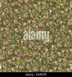 Rasenfläche von Oak Grove. Stockfoto