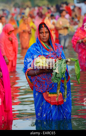 Frau trägt einen blauen Sari mit angeboten im Wasser stehend, während der hinduistischen Chhath Festival, New Delhi, Delhi, Indien Stockfoto