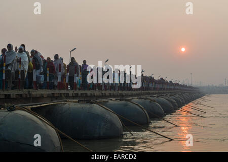 Massen von Menschen angekommen Kumbha Mela Gelände, zu Fuß auf Pontonbrücken, Allahabad, Uttar Pradesh, Indien Stockfoto