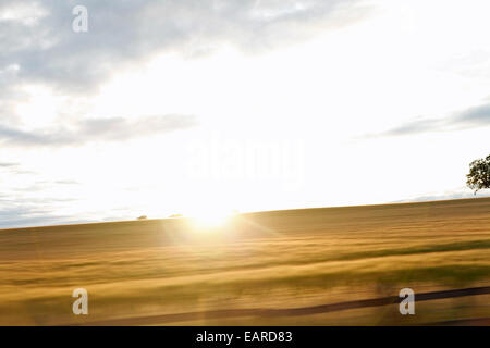 Sonnenuntergang über einem Feld von Kulturpflanzen, wie aus dem Fenster eines fahrenden Fahrzeugs gesehen Stockfoto