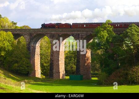 Galatea, Dampfzug auf der Settle zu Carlisle Railway Line, trocken Beck-Viadukt, Armathwaite, Eden Valley, Cumbria, England, UK. Stockfoto