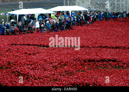 Freiwillige 888.246 Keramik Mohnblumen aus dem Graben des Tower of London-Kunst-Installation entfernen, an den Käufer gesendet werden. Stockfoto