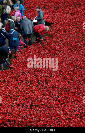 Freiwillige 888.246 Keramik Mohnblumen aus dem Graben des Tower of London-Kunst-Installation entfernen, an den Käufer gesendet werden. Stockfoto
