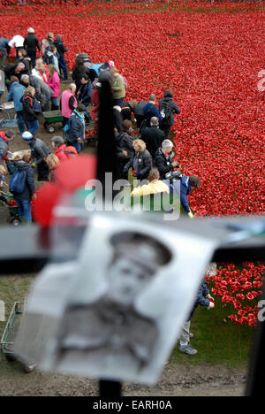 Freiwillige 888.246 Keramik Mohnblumen aus dem Graben des Tower of London-Kunst-Installation entfernen, an den Käufer gesendet werden. Stockfoto