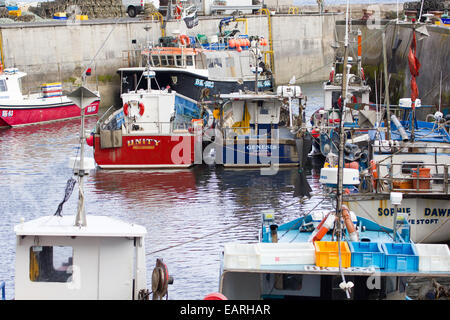 Gemeinsame Hafen und Boote für Ausflüge in die Farne Islands Stockfoto