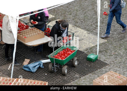 Freiwillige 888.246 Keramik Mohnblumen aus dem Graben des Tower of London-Kunst-Installation entfernen, an den Käufer gesendet werden. Stockfoto