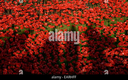 Schatten der Zuschauer auf die 888.246 Keramik Mohnblumen aus dem Graben an der Tower of London-Kunst-Installation. Stockfoto