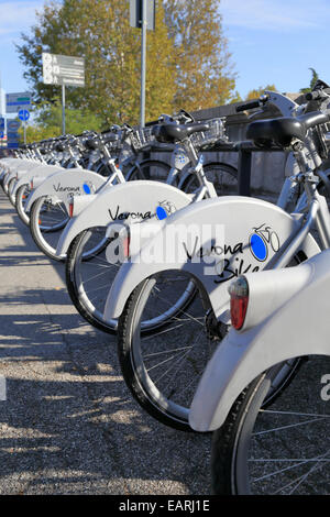 Verona-Bike-Station, Reihen von Zyklen zu mieten, Verona, Italien, Veneto. Stockfoto