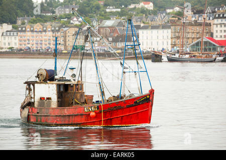 Ein Fischerboot geht es zurück nach Port in Oban, Schottland, Großbritannien. Stockfoto