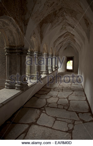 Eine Innenansicht des Muckross Abbey 1448 von den Franziskanern gegründet. Stockfoto