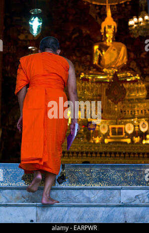 Ein buddhistischer Mönch betritt eine Kapelle unter einem goldenen Buddha für das Gebet. Stockfoto