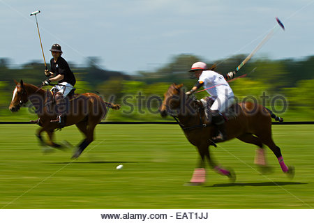 Polo-Spieler in Bewegung. Stockfoto