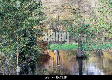 Herbst Farben in einem überschwemmten Feld durch den Derwent River in der Nähe von Hathersage Derbyshire England Vereinigtes Königreich UK Stockfoto