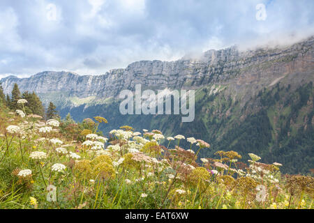 Parc Natur De La Chartreuse, Isere, Rhône-Alpes, Frankreich Stockfoto