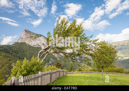 Rund um Saint-Pierre Entremont, Parc Naturel De La Chartreuse, Savoie, Rhône-Alpes, Frankreich Stockfoto