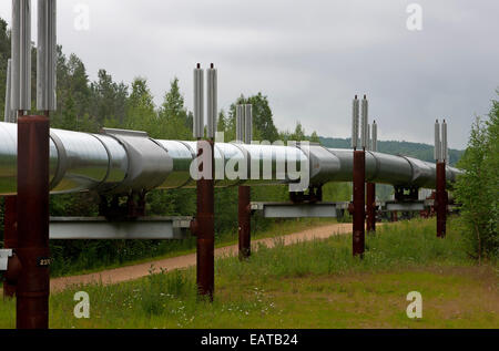 Teil der Trans-Alaska-Pipeline in der Nähe von Fairbanks. Stockfoto