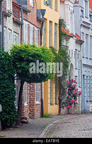 Reihenhäuser in der Engelswisch Straße in der Hansestadt Lübeck, Schleswig-Holstein, Deutschland Stockfoto