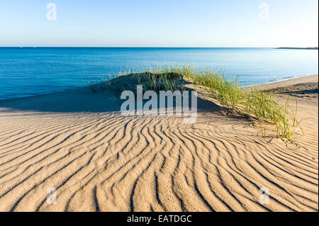 Wind kräuselt sich eine Wüste Sand Küstendüne oberhalb einer ruhigen blauen Meer. Stockfoto