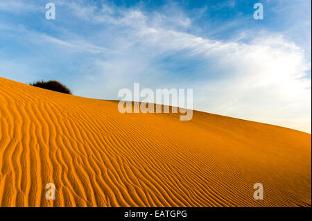 Geometrische Wellen im Angesicht einer roten Sanddüne in eine Küstenwüste. Stockfoto