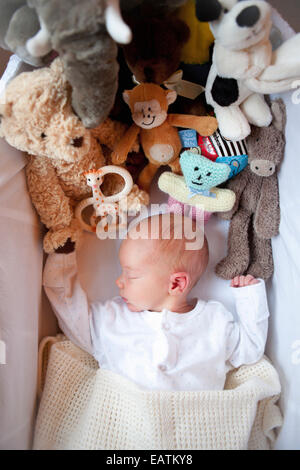 Babyjungen schlafen in ein Körbchen mit vielen Spielsachen Stockfoto