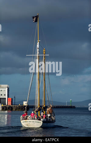 Eine Yacht Köpfe auf das Meer von einem Hafen eine Piraten-Flagge auf den Mast. Stockfoto