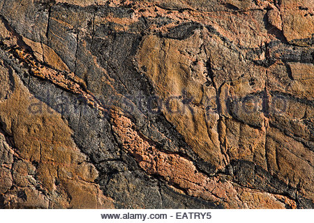 Detail des Rock-Texturen in metamorphen Felsen. Stockfoto