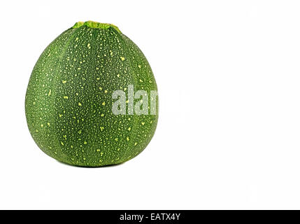 Eine Runde Zucchini isoliert auf weißem Hintergrund Stockfoto