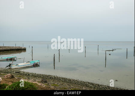 Zwei Panga Boote vertäut am rustikalen Marina, Champoton, Staat Campeche, Mexiko Stockfoto