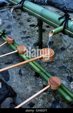 Shinto-Schrein in Kyoto, Schöpfkellen Hishaku Bambus auf Wasser-Brunnen für Trink- und Reinigung ritual Stockfoto