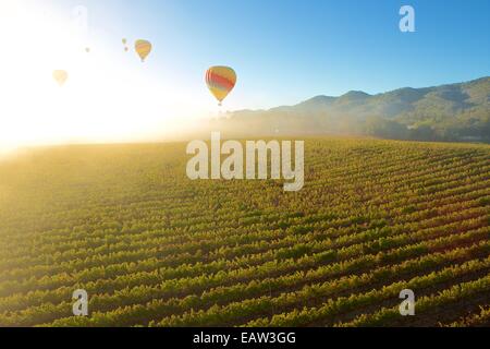 Heißluftballon im berühmten Weingebiet Napa Valley, Kalifornien. Stockfoto