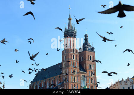 Kirche der Gottesmutter in den Himmel, auch bekannt als St.-Marien Kirche auf dem Hauptmarkt in Krakau, Polen angenommen. Stockfoto