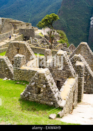 Die Inka-ruinen von Machu Picchu, in der Nähe von Aguas Calientes, Peru. Stockfoto