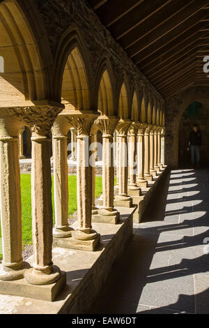 Sandsteinsäulen in Iona Abbey auf Iona, aus Mull, Schottland. Stockfoto