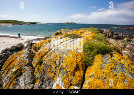 Aquamarin Meere und Flechten bedeckt Rock auf West Küste von Iona, aus Mull, Schottland. Stockfoto