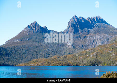 Cradle Mountain und Dove Lake in Cradle Mountain Wilderness National Park, Tasmanien, Australien Stockfoto