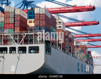 Das Frachtschiff "COSCO HOPE" (142'000 BRT) wird am Container geladen terminal Tollerort im Hamburger Hafen, Deutschland. Stockfoto