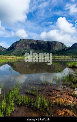 Die Reflexion von einer Tischplatte Berg über ein Schilf gesäumten Feuchtgebiet. Stockfoto