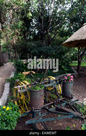 Antike landwirtschaftliche Geräte in einem Blumengarten auf einer Safari-Lodge. Stockfoto