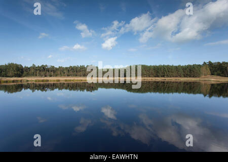 Fen mit tiefblauem Himmel und Wolken spiegeln sich in Wasser Stockfoto