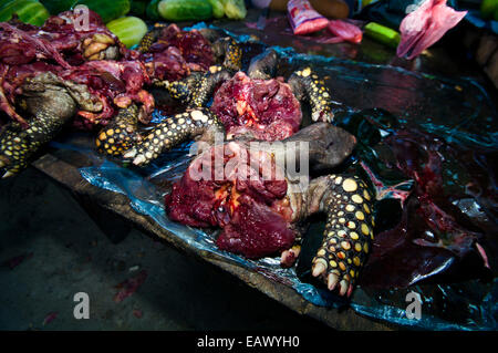 Gefährdete gelb leichtfüßig Schildkröte geschlachtet für Lebensmittel in einem Amazonas-Schwarzmarkt. Stockfoto