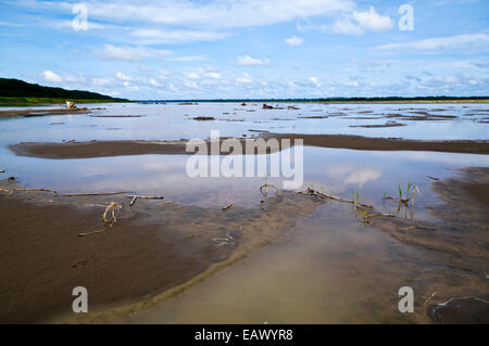 Pools von stehendem Wasser entlang der Küste des Amazonas-Flusses während der Trockenzeit Dürre. Stockfoto