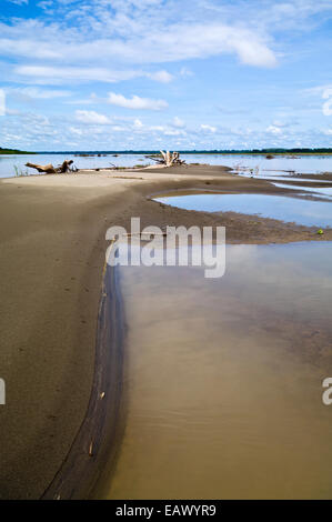 Pools von stehendem Wasser entlang der Küste des Amazonas-Flusses während der Trockenzeit Dürre. Stockfoto